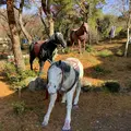 関ケ原ウォーランドの写真_659122