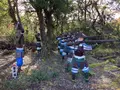 関ケ原ウォーランドの写真_659128