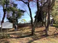 関ケ原ウォーランドの写真_659129