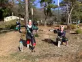 関ケ原ウォーランドの写真_659133