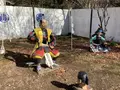 関ケ原ウォーランドの写真_659139