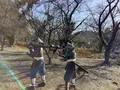関ケ原ウォーランドの写真_659142