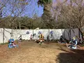 関ケ原ウォーランドの写真_659144