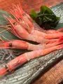 おさかなや魚魚権の写真_659860