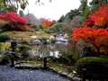 妙心寺駅の写真_66006