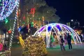 ひろしまドリミネーションの写真_660163