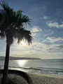 奄美市大浜海浜公園の写真_660434