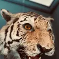ベンの家の写真_660669