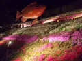 ヤマサ蒲鉾（株）の写真_66081