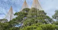 兼六園の写真_661113
