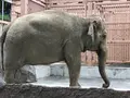 かみね動物園の写真_661516