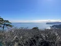 MOA美術館の写真_664141