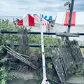 茅ヶ崎サザンCの写真_667577