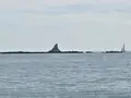 姥島の写真_667579