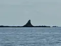 姥島の写真_667580