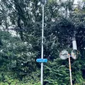 ラチエン通りの写真_667586