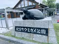 道の駅紀宝町ウミガメ公園の写真_667592