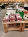 たまご倶楽部の写真_668502