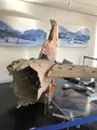 筑波海軍航空隊記念館の写真_668580