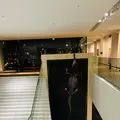 インターメディアテク（INTERMEDIATHEQUE）の写真_668840
