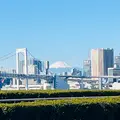 豊洲市場の写真_668915