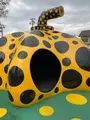 十和田市現代美術館の写真_668999