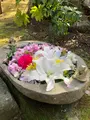 栖足寺の写真_671173