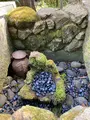 栖足寺の写真_671175