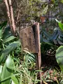 栖足寺の写真_671177