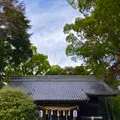 来宮神社の写真_671186