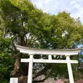 来宮神社の写真_671188