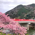 舘橋（静岡県賀茂郡河津町）の写真_671199
