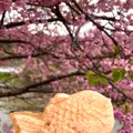 来宮橋の写真_671512