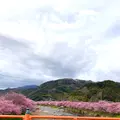 豊泉の足湯処の写真_671514