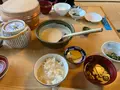 一松園の写真_672173