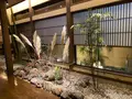 大丸温泉旅館の写真_672892