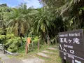 裏見ヶ滝の写真_673088