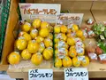 あさぬま大賀郷店の写真_673594