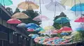 加賀伝統工芸村 ゆのくにの森の写真_674803