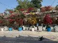 Arabian Tea House Restaurant and Caféの写真_675134