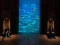 The Lost Chambers Aquariumの写真_675167