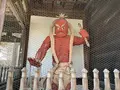 岩松院の写真_675804