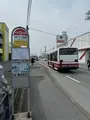 天然温泉 ホテルこまちの写真_676144