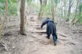 立石山の写真_676354