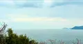 糸島のトトロの森の写真_676669