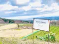 SAYS FARMの写真_677598