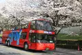 スカイバス 三菱ビル前バス停の写真_68032