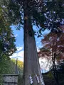 神場山神社の写真_680495