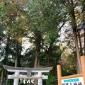 神場山神社の写真_680497