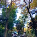神場山神社の写真_680498